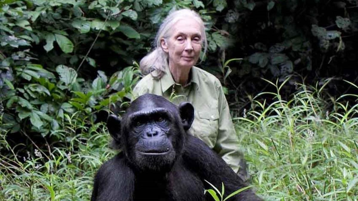 Jane Goodall Institute
